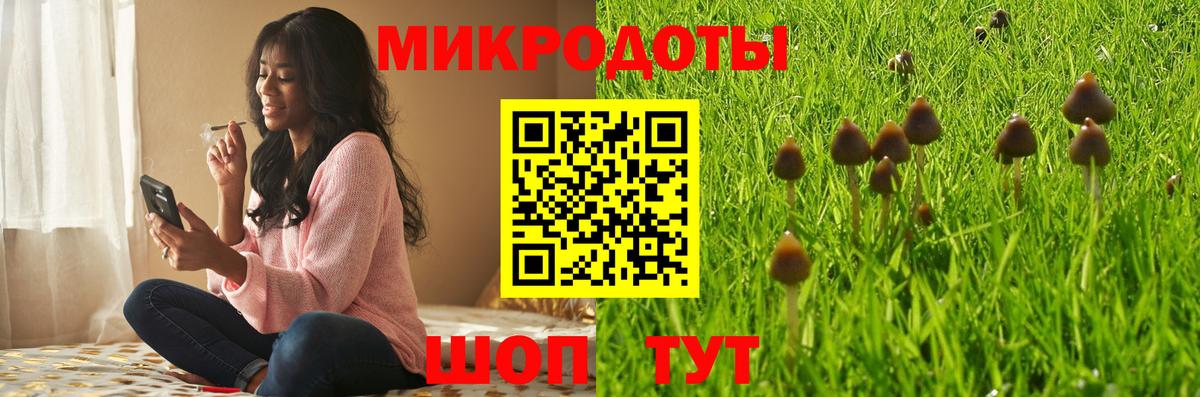 Псилоцибиновые грибы MAGIC MUSHROOMS Богданович