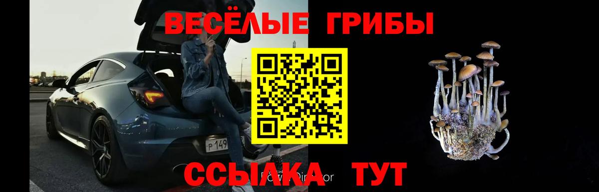 Псилоцибиновые грибы мицелий  Вход с VPN  где купить наркоту  Богданович 