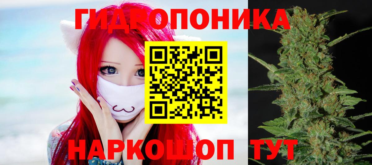 Шишки марихуана план  Вход с VPN  Бошки марихуана LSD WEED  Богданович  Бошки Шишки гибрид 